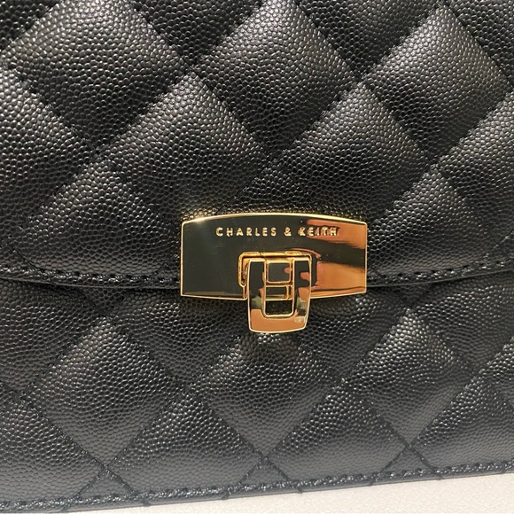 Charles & Keith Quilted Chain Bag - Picture 5 of 8